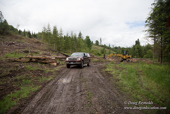 logging