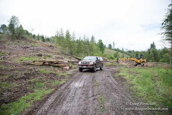 logging