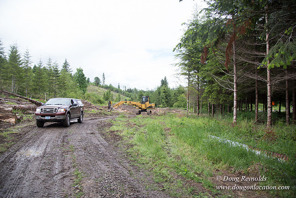 logging