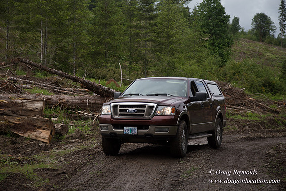logging