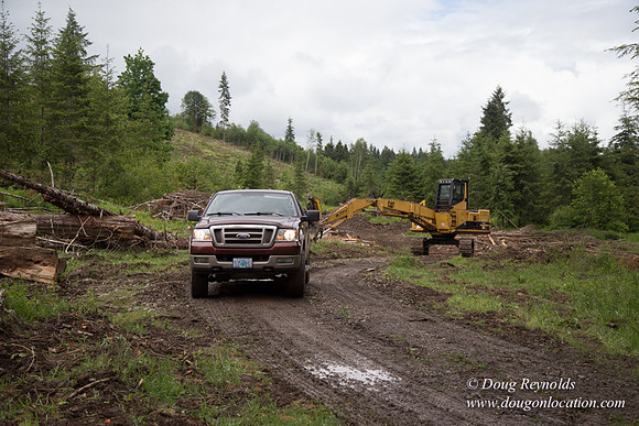 logging