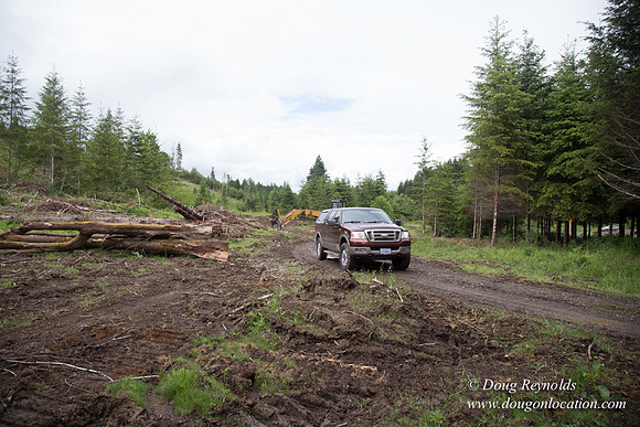 logging
