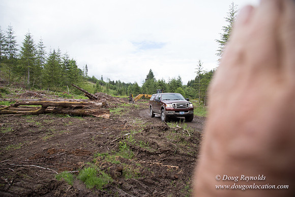logging