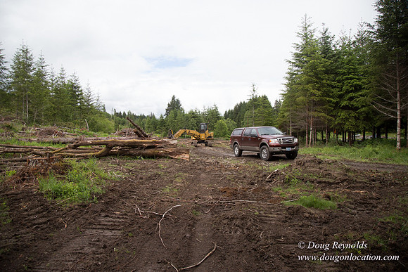 logging