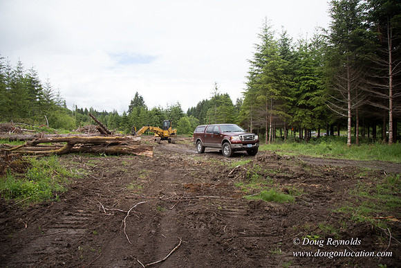 logging