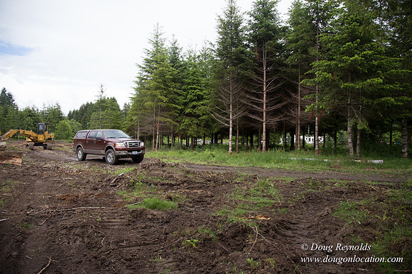 logging