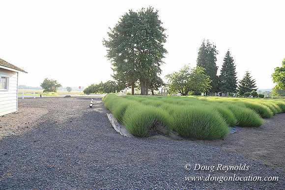 Toms Rd Side-6396