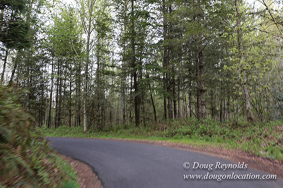 Brians Rd to the Gate-0296