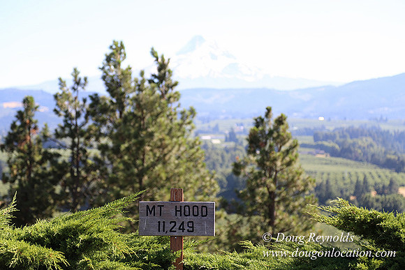 Panorama Point-8286