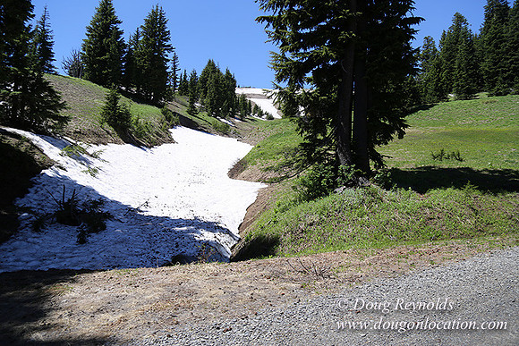 Medow's Snow-5633