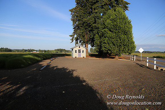 Toms Rd Side-6389