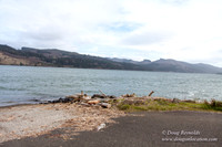 HB Boat Ramp