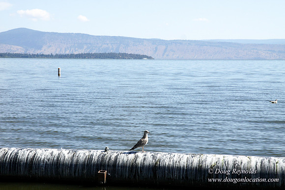 Woous Boat Ramp