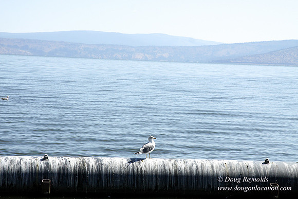 Woous Boat Ramp