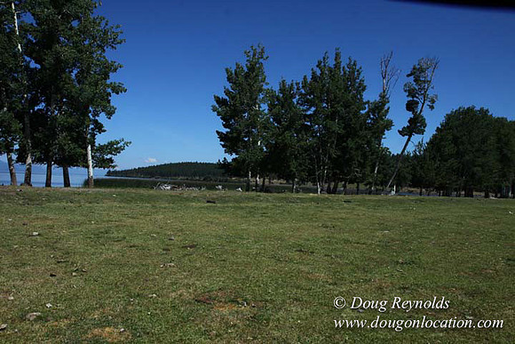 2500 Acres of green fields Creeks water crossing Bridges on a Large Lake and miles of Dirt roads Oak trees Forest land ATV Trails cows