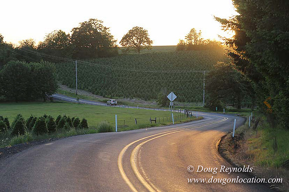 Hwy 214 M18-7659