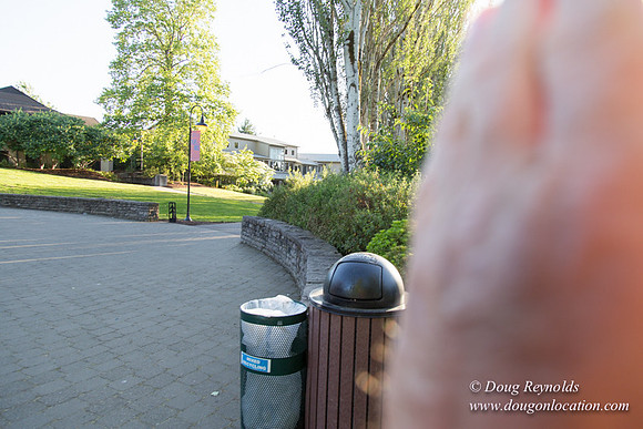 CGS Court Yards