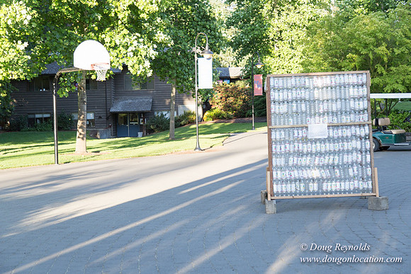 CGS Court Yards