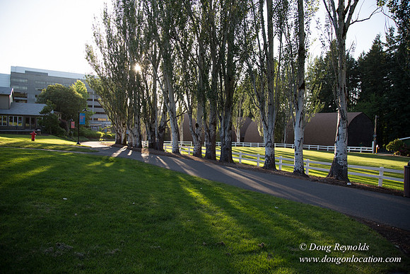 CGS Court Yards