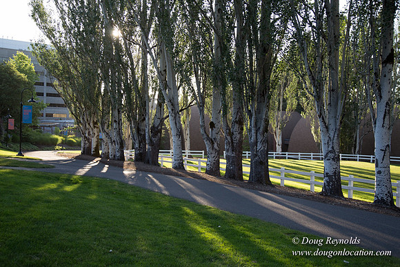 CGS Court Yards