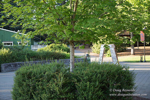 CGS Court Yards