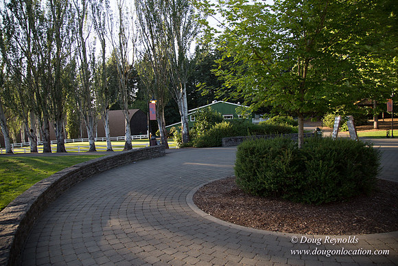 CGS Court Yards