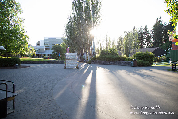 CGS Court Yards