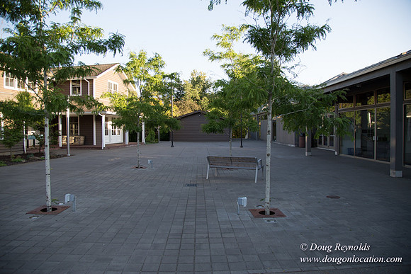 CGS Court Yards