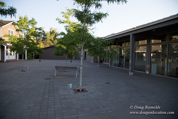 CGS Court Yards