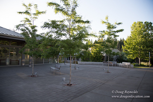 CGS Court Yards