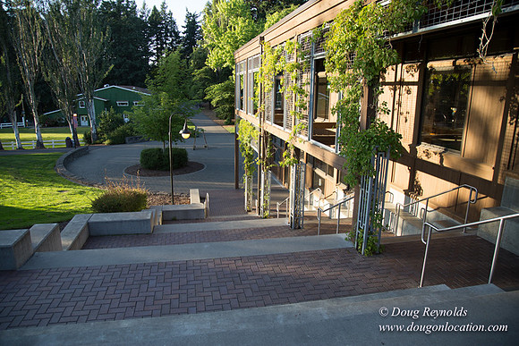 CGS Court Yards