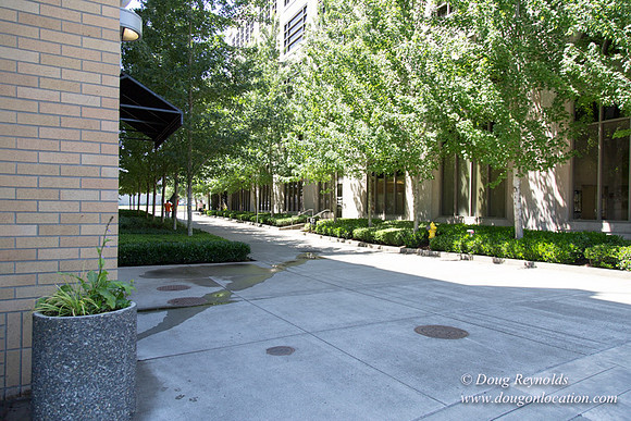CB Square