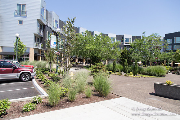 CB Square