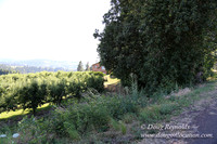 Portland Dr HdRv-8193