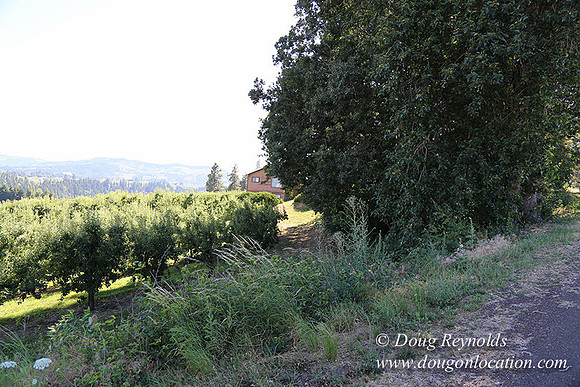 Portland Dr HdRv-8193