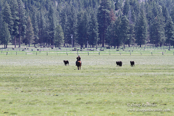 Ranch 18 Central