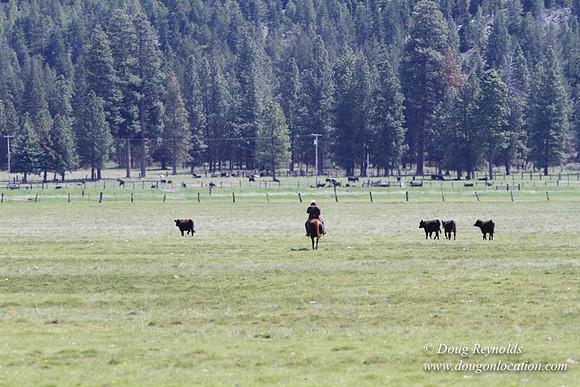 Ranch 18 Central