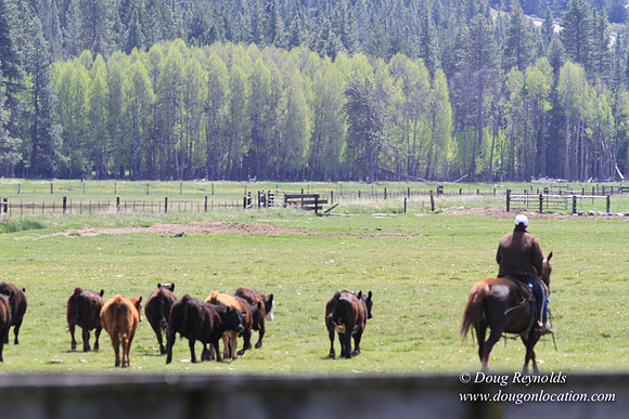 Ranch 18 Central