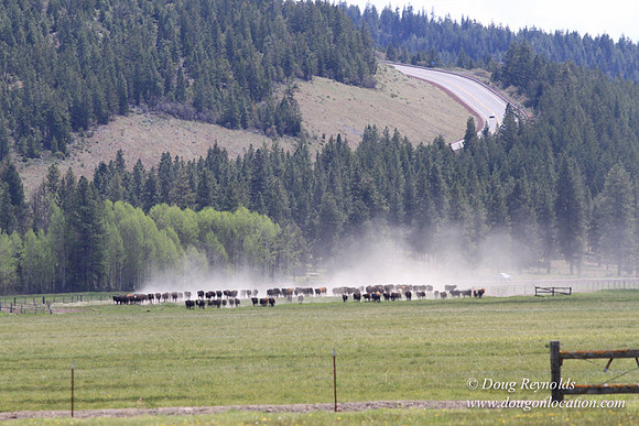 Ranch 18 Central