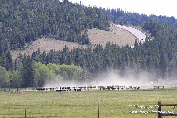 Ranch 18 Central