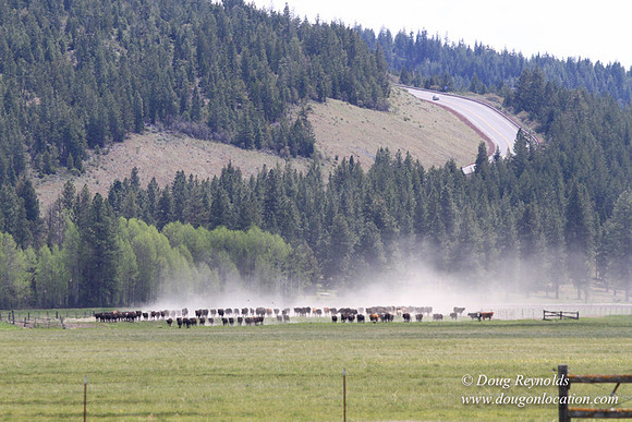 Ranch 18 Central