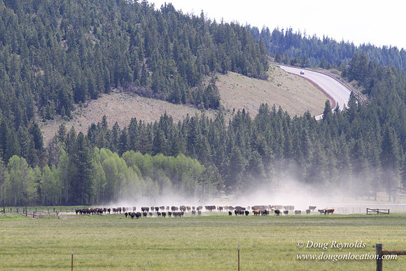Ranch 18 Central
