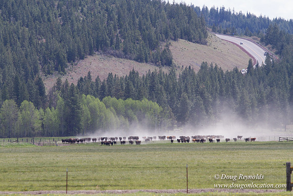 Ranch 18 Central