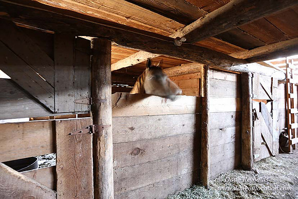 Ranch 18 Central