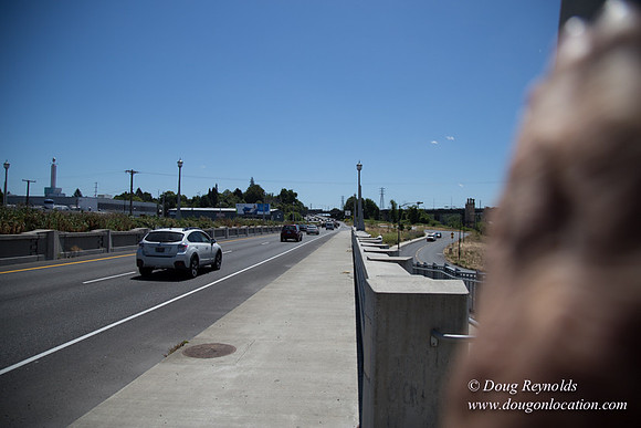 Grand OverPass