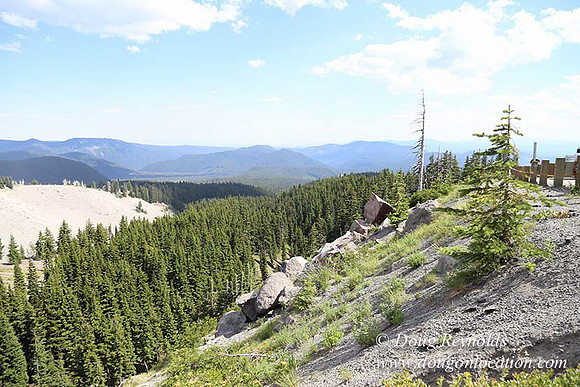 Timberline East rock-6817