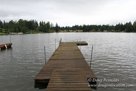 Cabin, Curtis, Dock, Green, Home, Lake, Small, WA, Washington, Yard, Yard, deck