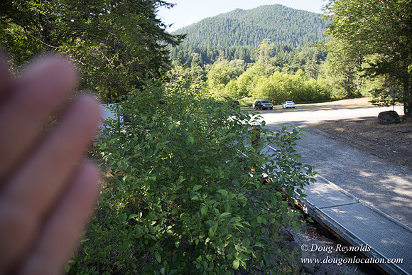 PCRABB Boat Ramp