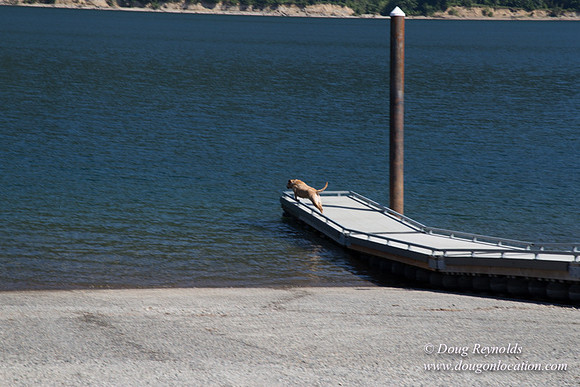 PCRAY Boat Ramp