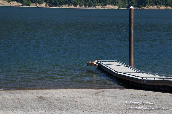 PCRAY Boat Ramp